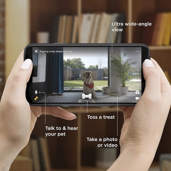 Petcube Bites 2 Wi-Fi Pet Camera with Treat Dispenser & Alexa Built-in, for Dogs - Picture 3 of 11